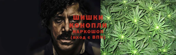 PSILOCYBIN Кукмор