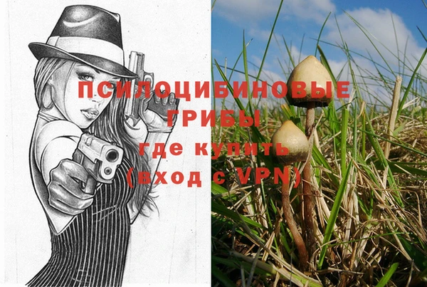 мескалин Кулебаки
