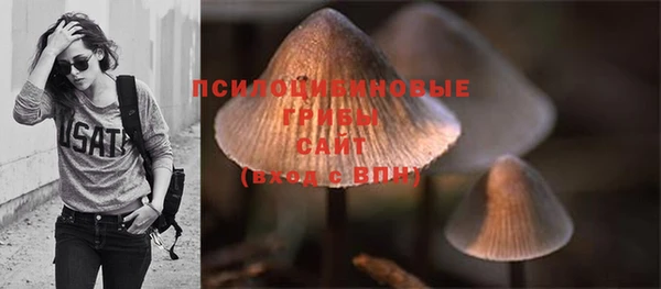 PSILOCYBIN Кукмор