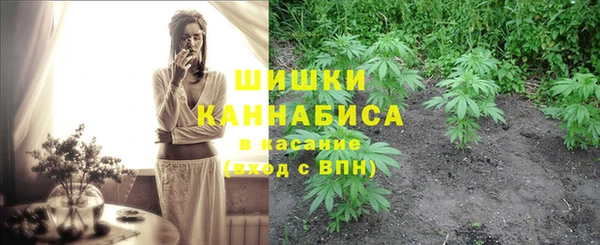 PSILOCYBIN Кукмор