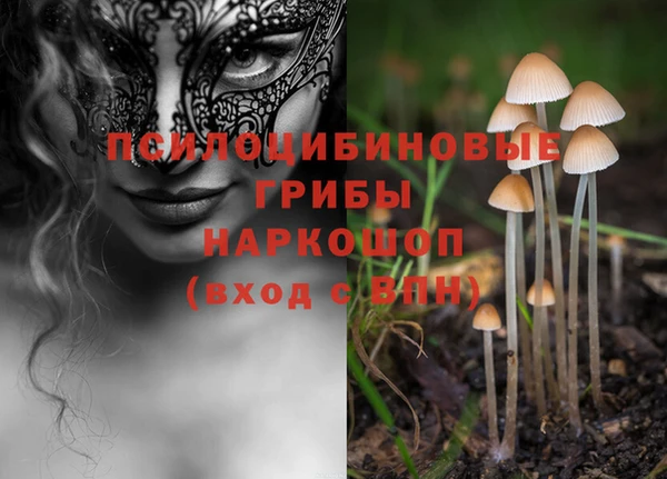 мескалин Кулебаки