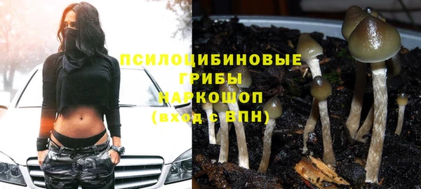 PSILOCYBIN Кукмор