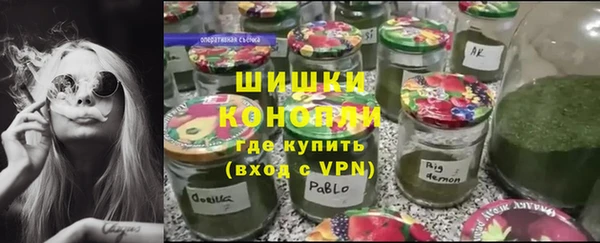 PSILOCYBIN Кукмор